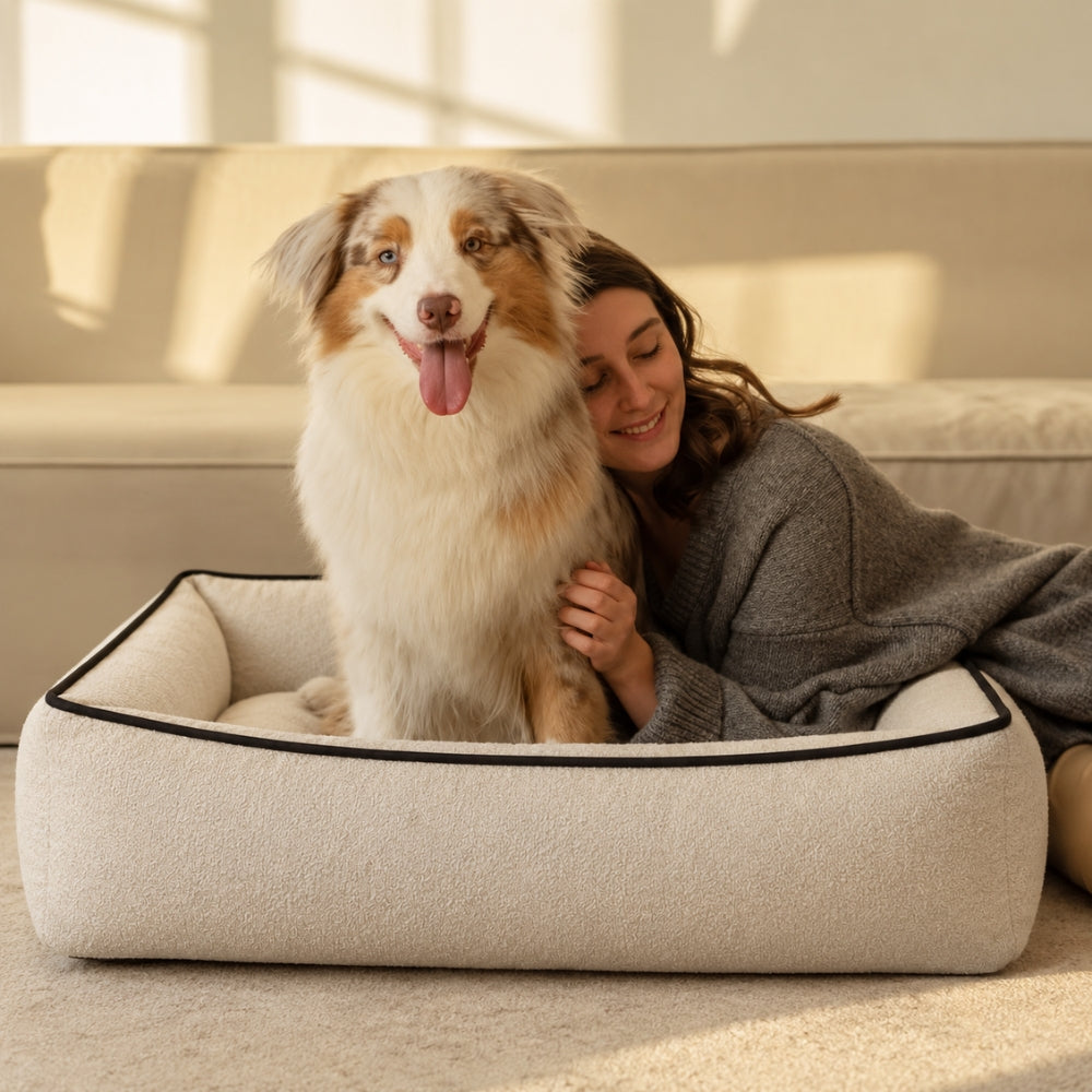 Elan hypoallergenic pet bed high-density cushion